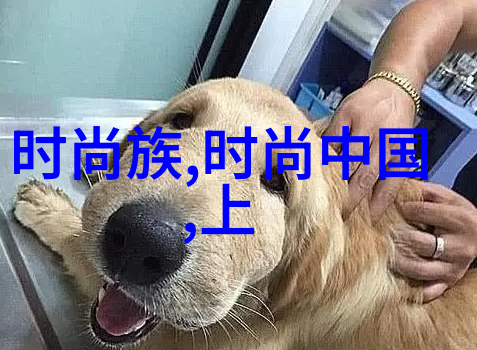 70年代初期台湾艺人如何跨足国际市场