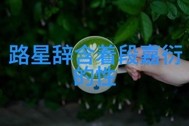 夜幕下的直播盛宴伴随星光共赏美好时刻