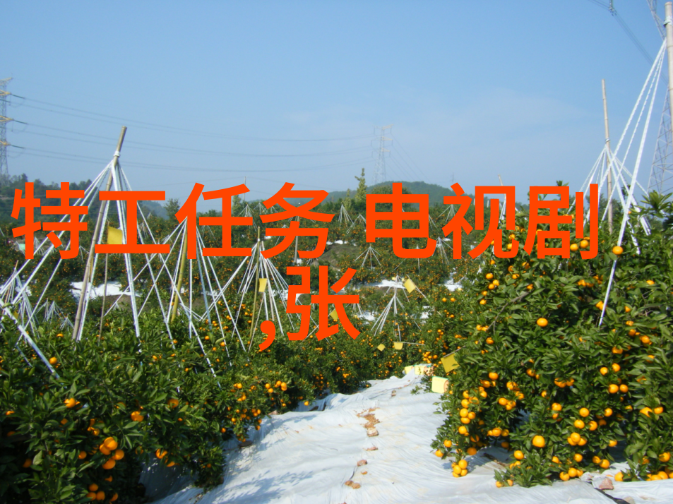 电视剧热血码头中的爱情线索又是如何展开的