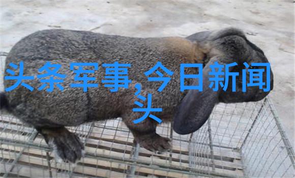 知否王梓薇战斗值飙升 呆萌小桃智慧升级