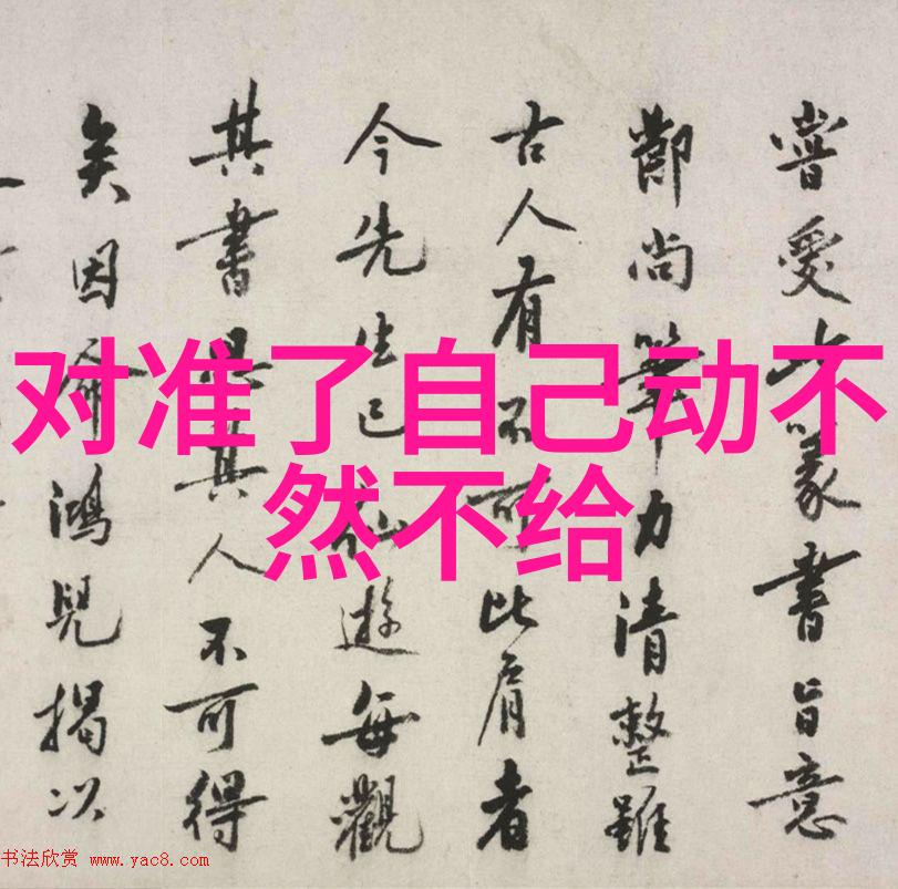 摄影师的秘密罗斯依写真背后的神秘故事