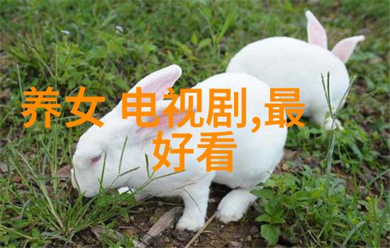 孤注一掷电影中的英雄与命运