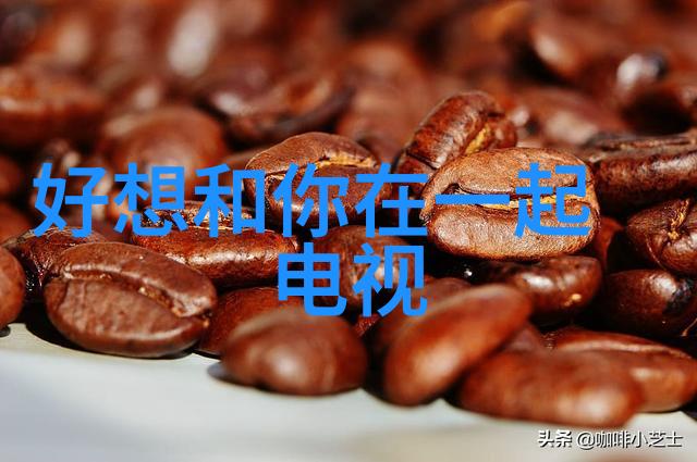开心麻花综艺笑声与温暖的节拍交响曲