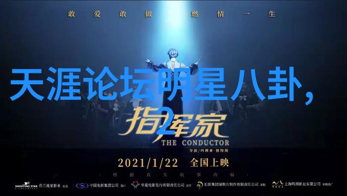 战略思考与情感共鸣分析社会心理学在决定行为上的影响力特别是在12宫的情况下