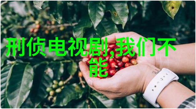 魅力透射镜头下的时尚故事