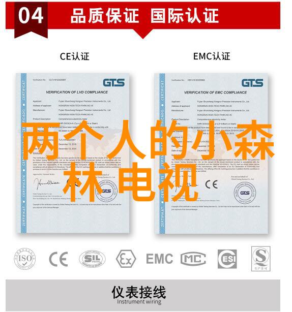 红桃娱乐红桃娱乐梦想舞台上的璀璨星光