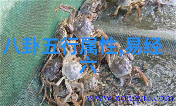 亚洲写真风景探索亚洲三大区域的摄影艺术