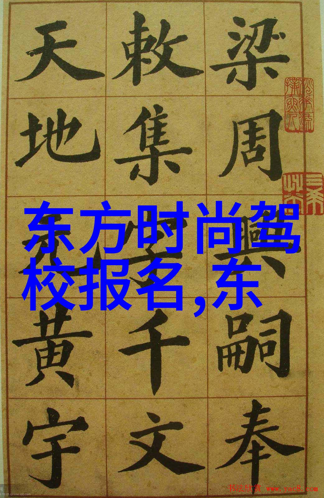 网络上最受欢迎的好看流形图集汇总