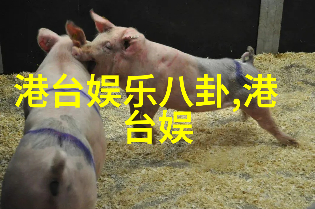 云音乐网页版首页我眼中的数字音乐城堡