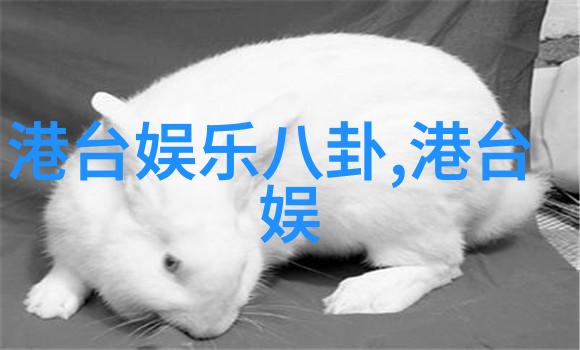 红毯闪耀电影节盛宴与星光派对的头条娱乐八卦