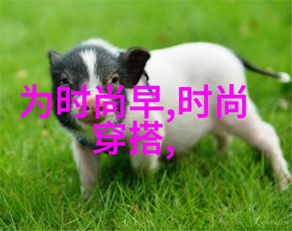 那英告别舞台一代歌后宣布退出娱乐圈的意外消息