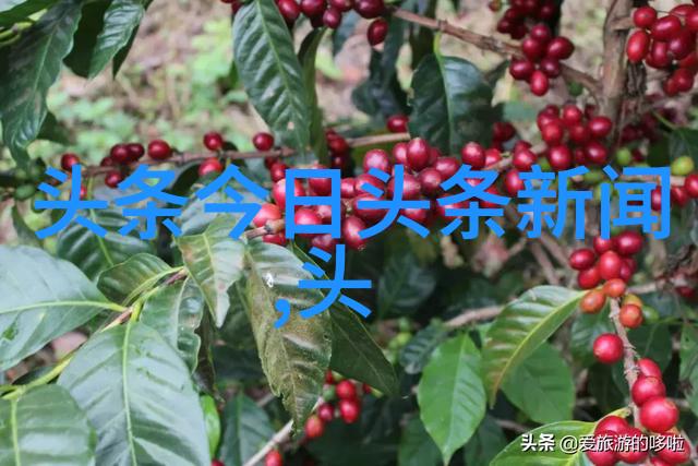 图像追溯神器深度探索识别图片找原图软件的秘密