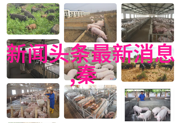 台湾综艺热点完美的夏天第二季初见趣事多李汶翰与利路修能否成功破冰
