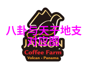 绽放的魅力光影下的诱惑