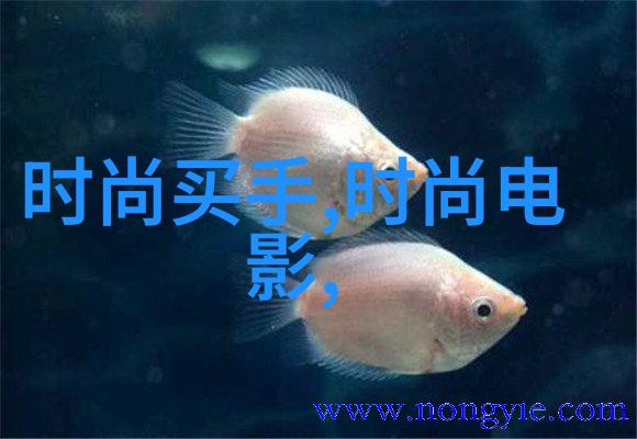 探索边界大陆之上的法律迷雾