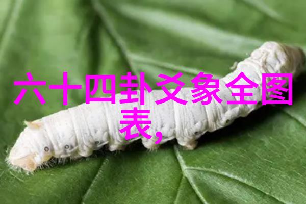 照片背后的故事解读写真集中的每一帧