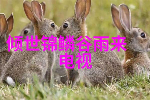 黄金价格大幅波动背后的全球经济隐忧