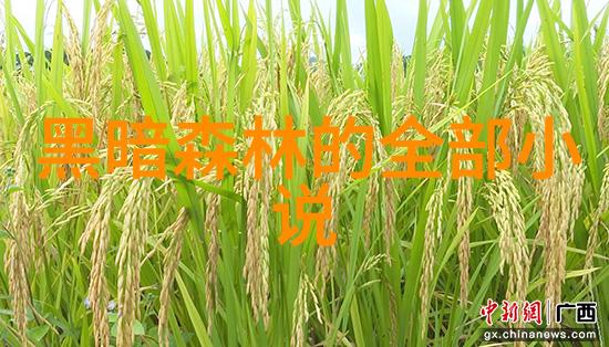 《星际迷航：黑暗森林的奥秘》