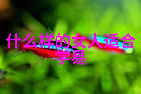 百度音乐宝库畅听无限旋律的乐章