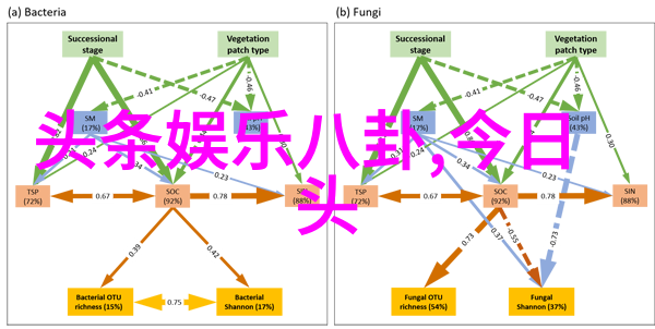 欲罢不能综艺解读当代娱乐节目文化的不可抗拒力