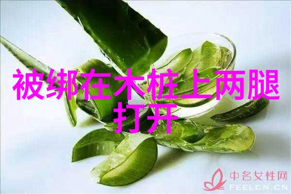雪域丽人冰川与雪峰的诗意对话高原绝美图库