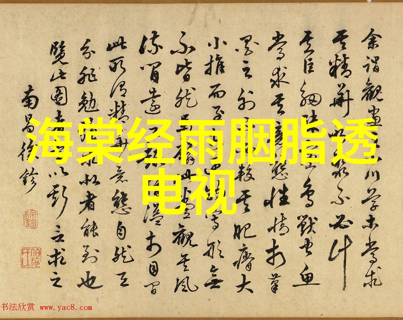 霍尊我是唱作人2带来回忆杀重返90年代美好生活记忆与自然和谐共融让你在绿意盎然的环境中享受流行歌曲大