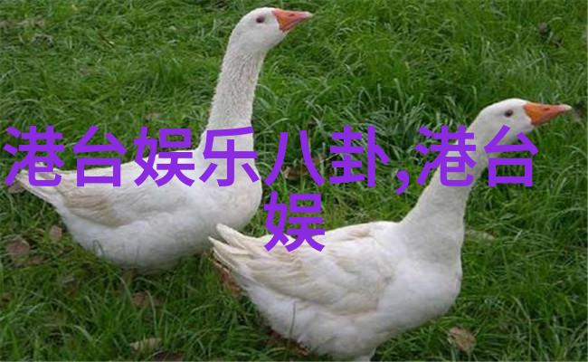 爱情与技术-追逐幸福相亲2高清字幕下载的故事