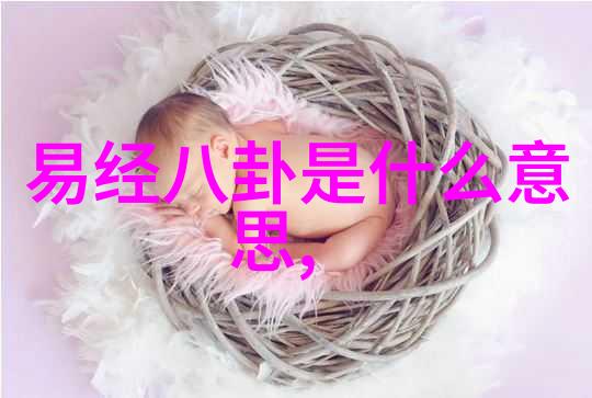 星光闪烁的宠儿