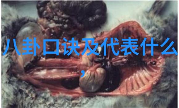 韩婧格高清视频背后的迷雾与光芒