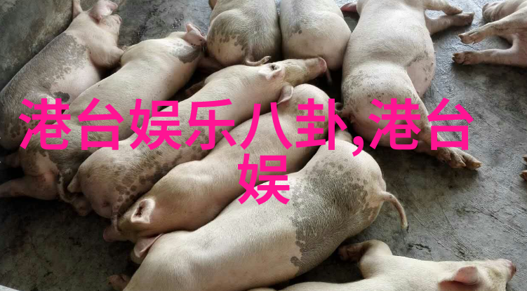 心累了的句子发朋友圈情感倾诉分享