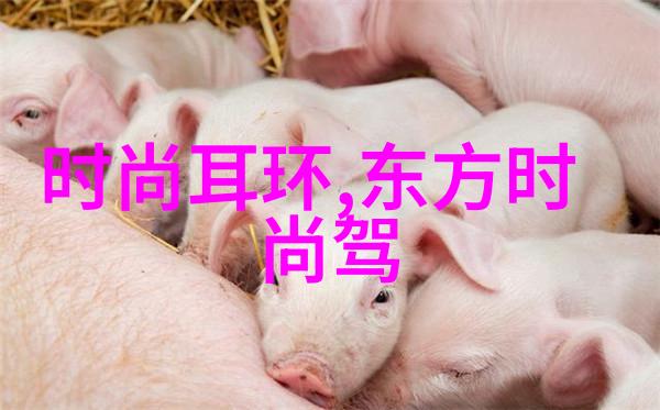 云端影院探索七七影视大全的正版免费观看世界