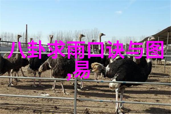 低调却不失高端气质的网名究竟隐藏着怎样的经典QQ之美