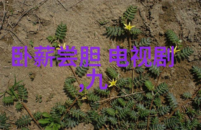 国家敢动娱乐圈吗你敢动我就不开心娱乐界的红线谁也别想碰