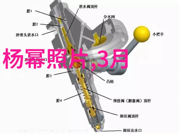 花样年华20周年重返纽约首映背后的秘密全球巡展揭开序幕