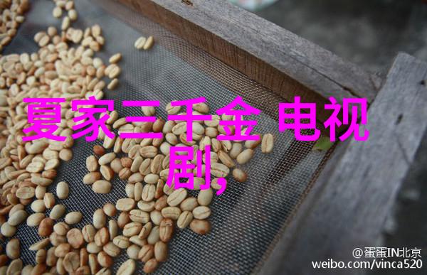 2009电视剧那些年我追过的青春