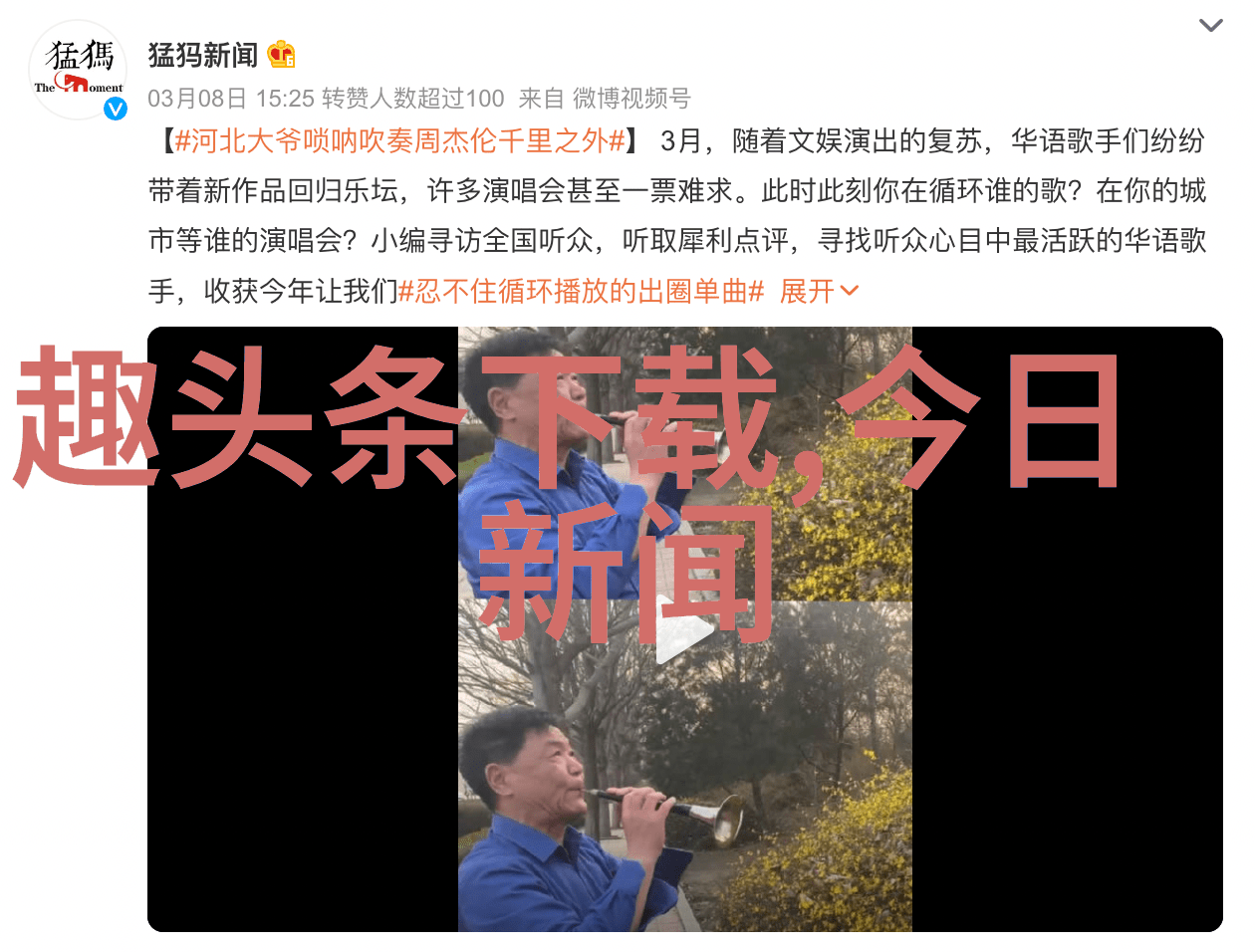 番茄影视红色幕布上的绿意盎然