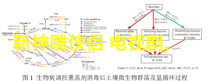 大碗娱乐精彩集结热门影视剧音乐节目游戏直播