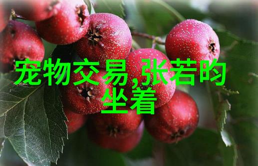汪峰音乐传奇头条专访揭秘艺术家背后的世界