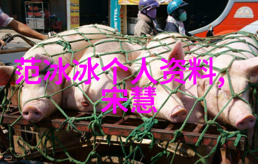 免疫系统强健对抗疫苗反应更有效青春不老如同自然之美腺病毒疫苗守护健康