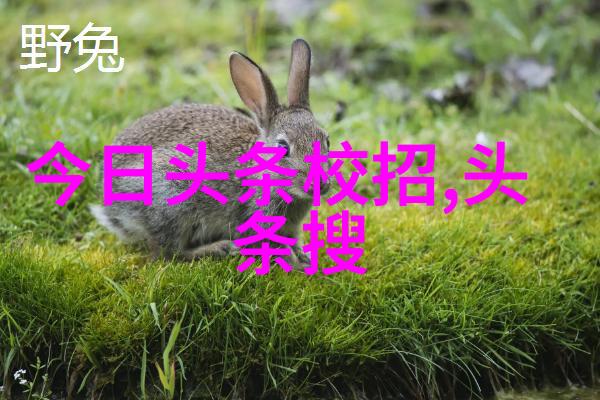 黄子弘在微信头像中穿梭复古宫廷风写真释出仿佛成为一位慵懒贵气的小王子在不同的风景背景中飘逸自如