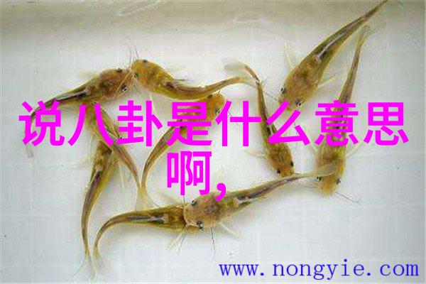 中国巨额援助俄罗斯的新命运之轮