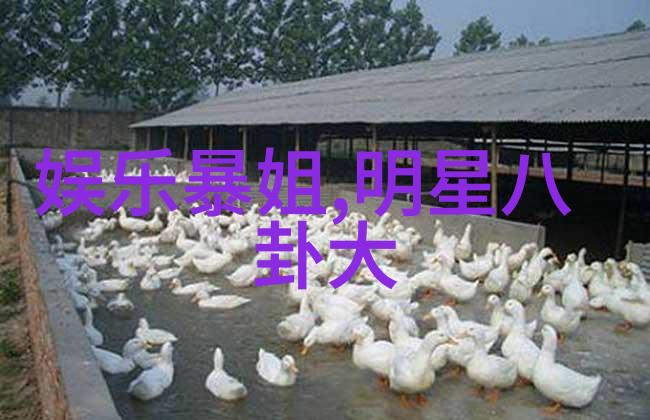 爱情运势根据你的12星座找到完美伴侣