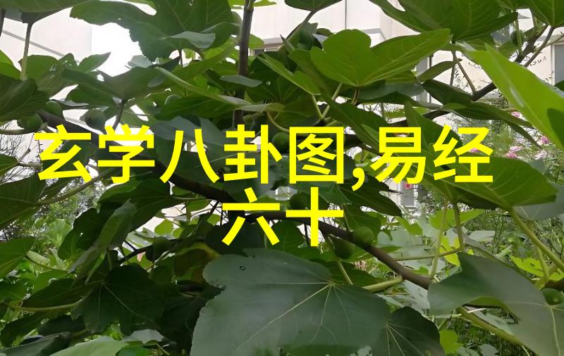 企业信仰的光芒国家信用信息系统的幕后故事