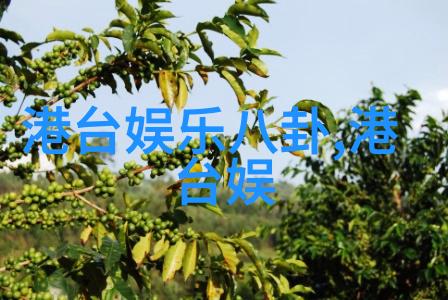 乾坤图谜天地秘象的永恒轮回