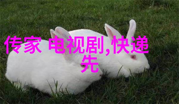 影视明星范丞丞双重魅力闪耀屏幕