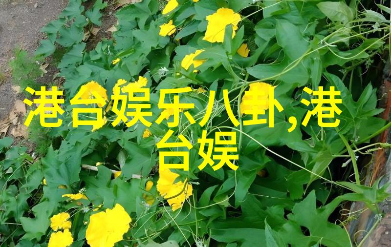 sistar赴军队慰问演出 士兵发狮吼般欢呼