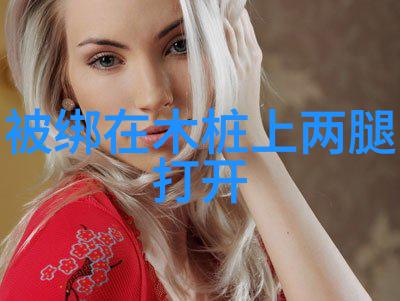 台湾综艺节目研究文化传播与社会反映的视角