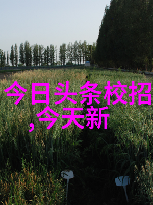 张曼玉近照曝光55岁的她究竟如何为何令人心疼不已