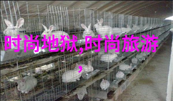 时尚达人李昕岳芭莎男士封面大曝野性神秘共鸣个性韵味