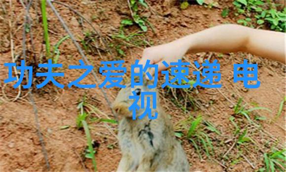 影视明星写真-肖战的时尚瞬间镜头下的魅力与真实